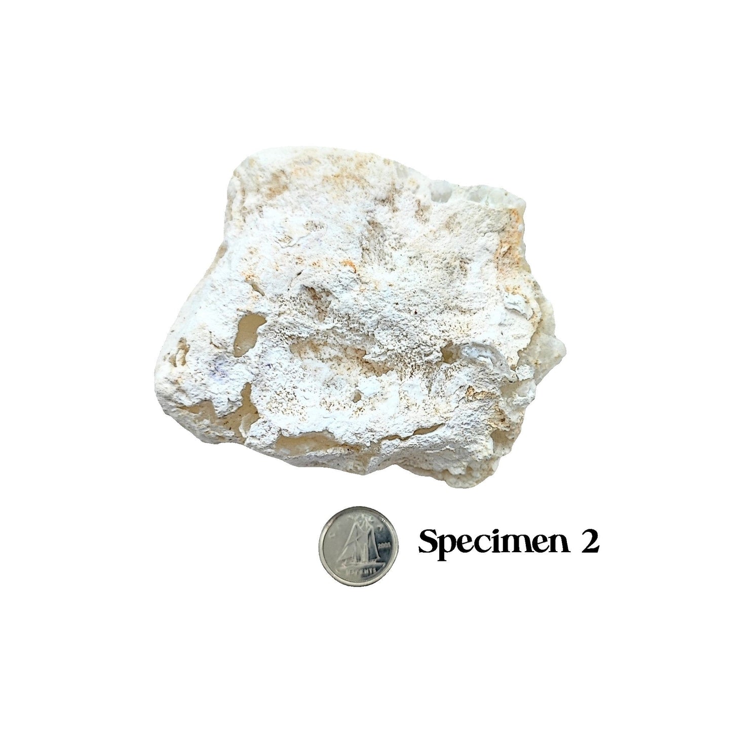 Stone -Jade -White -Rough -4" to 9" -Chunk -Aromes Evasions 