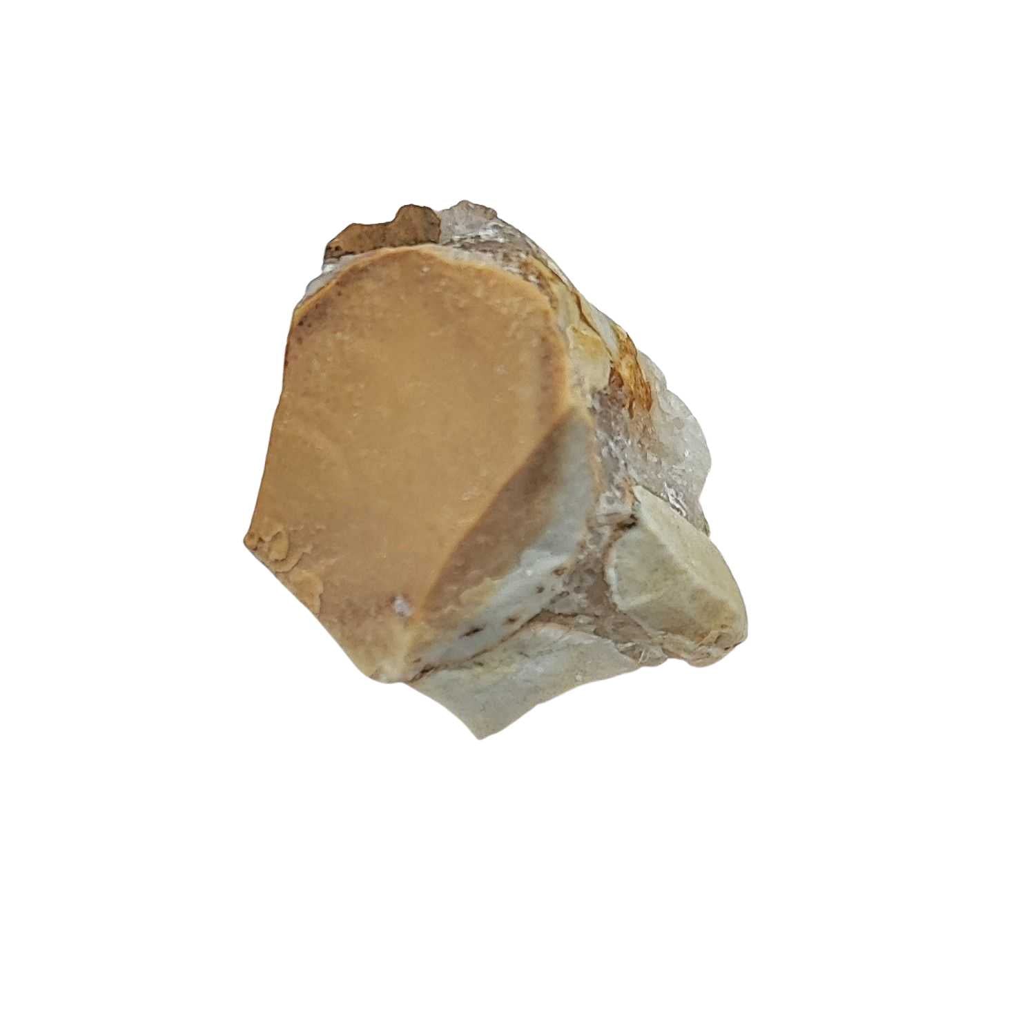 Stone -Jasper -Orbicular -Rough -Extra Small -Extra Small -Aromes Evasions 