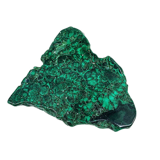 Stone -Malachite Slices -Tumbled -101g to 125g -Slices -Aromes Evasions 