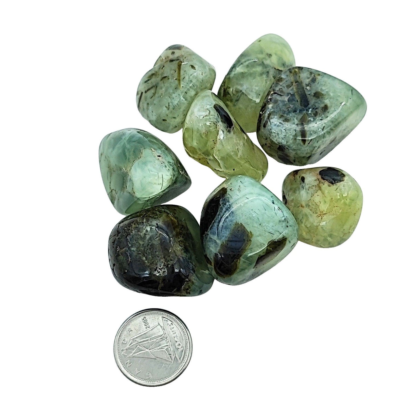 Stone -Prehnite -Rutile -Tumbled -Medium -Medium -Aromes Evasions 