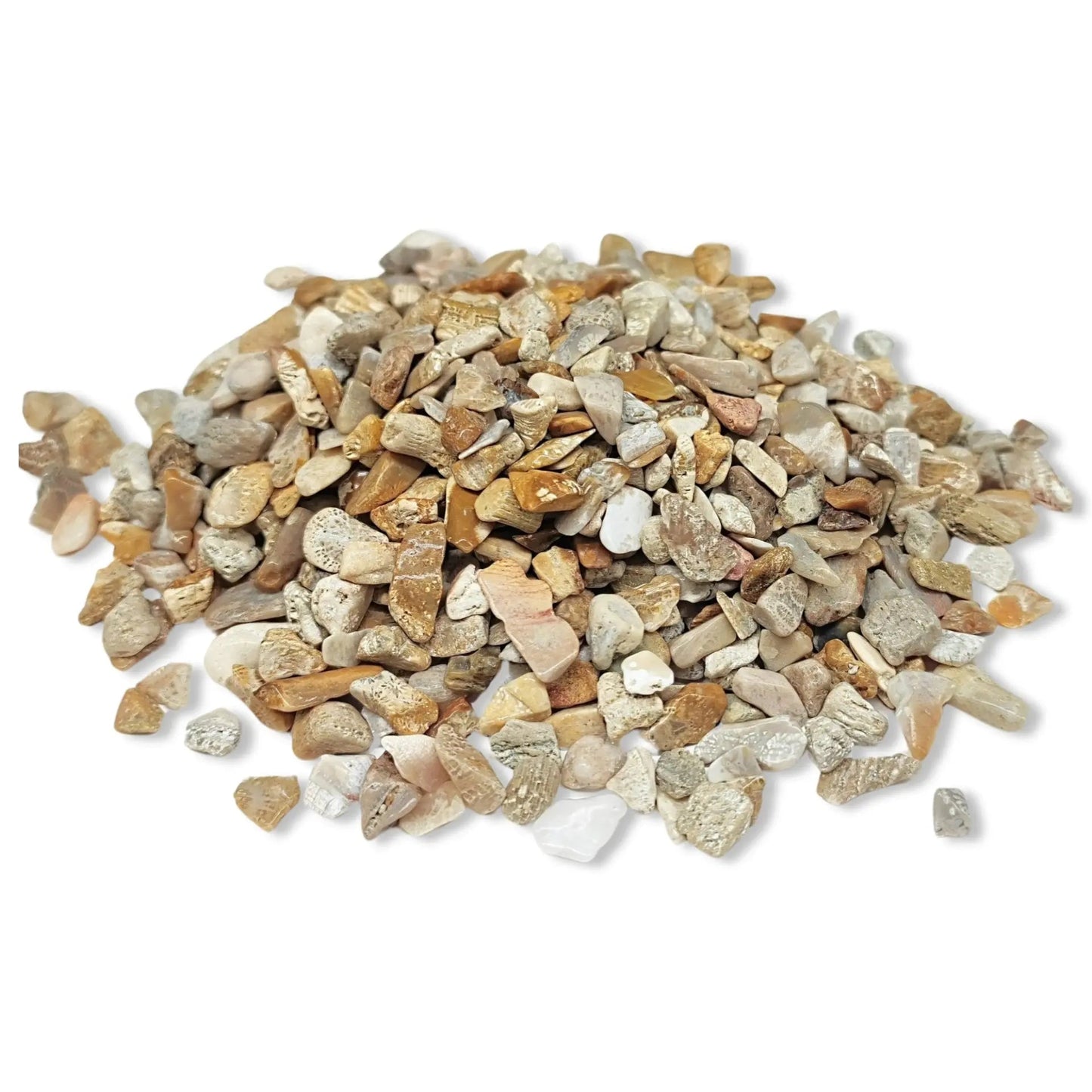 Stone -Rough Chips -Fossil Coral -6 to 8mm -Chips -Aromes Evasions 