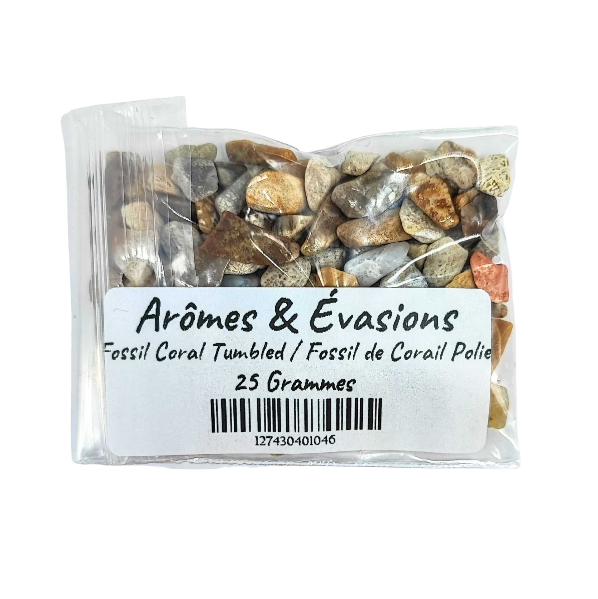 Stone -Tumbled Chips -Fossil Coral -Chips -Aromes Evasions 