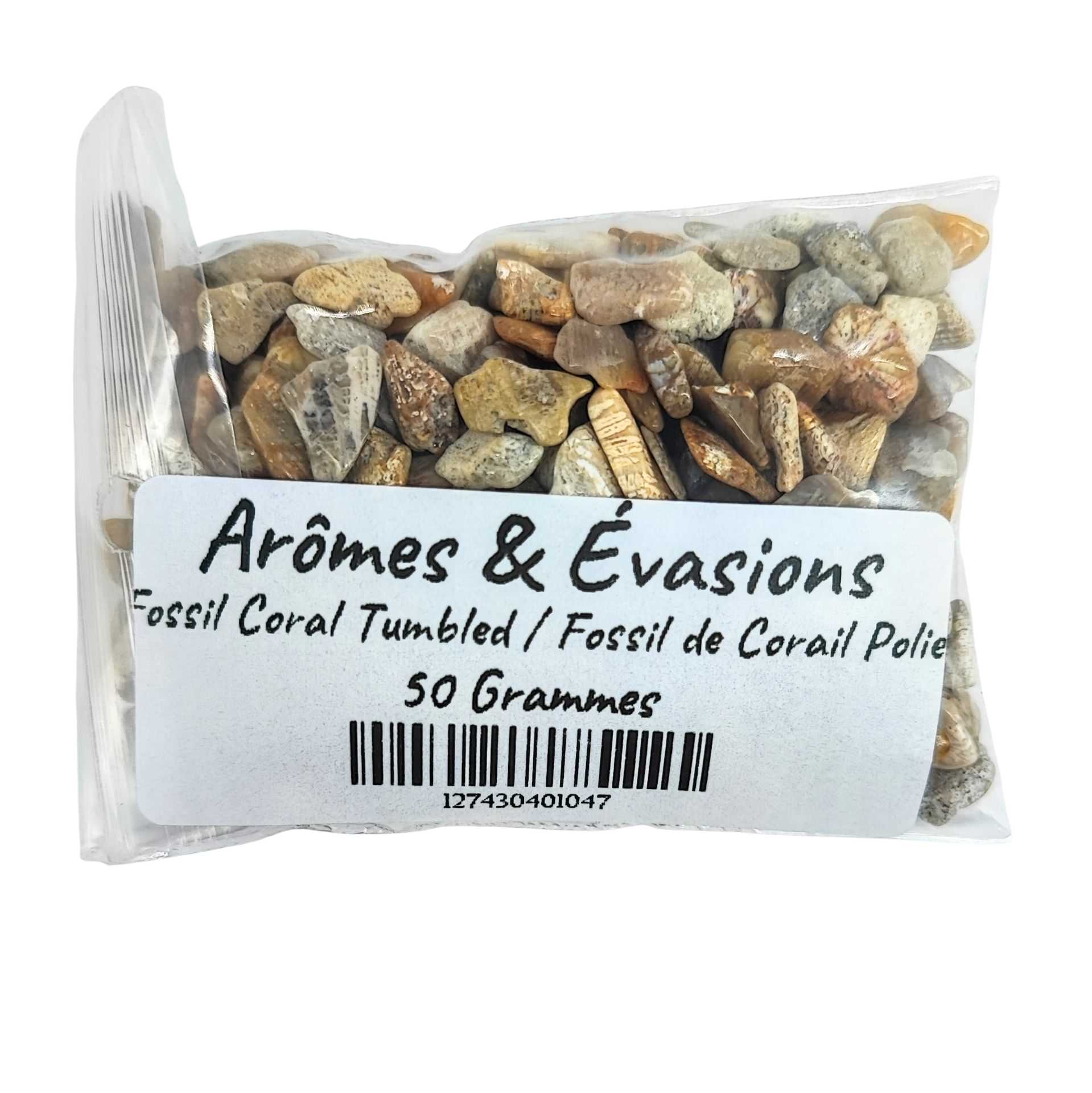 Stone -Tumbled Chips -Fossil Coral -Chips -Aromes Evasions 