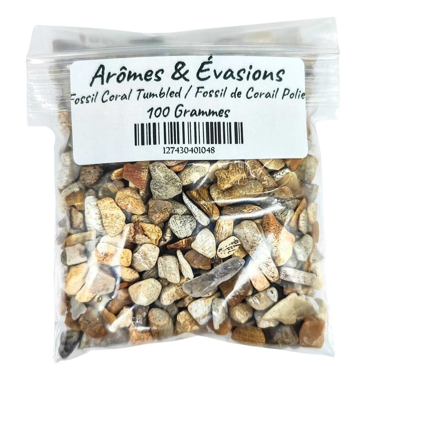 Stone -Tumbled Chips -Fossil Coral -Chips -Aromes Evasions 