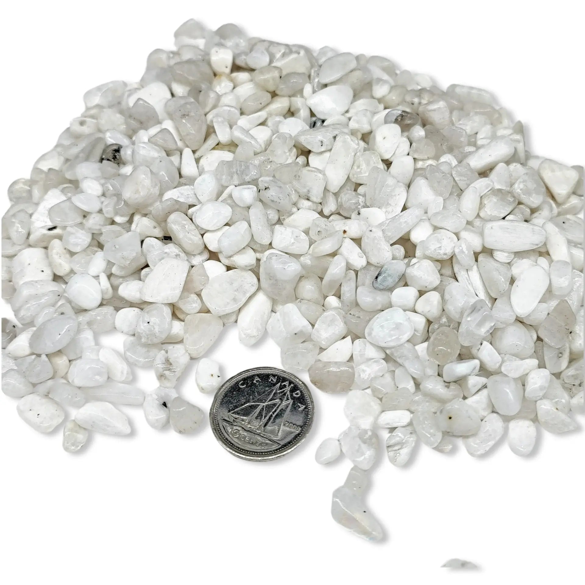 Stone - Tumbled Chips - Moonstone - 5 to 6mm